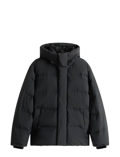 Tommy Jeans | Tjm Hooded Down Puffer | XXXL