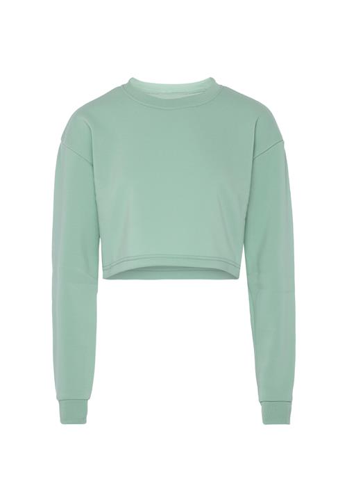 SANIKA Sweatshirt  pastelgrøn