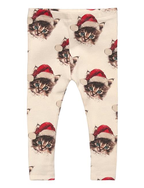 The New | Tnsbholiday Rib Leggings | 68