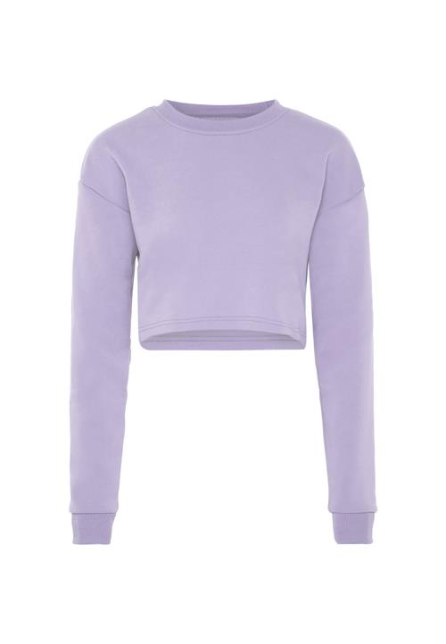 Exide Sweatshirt  lavendel