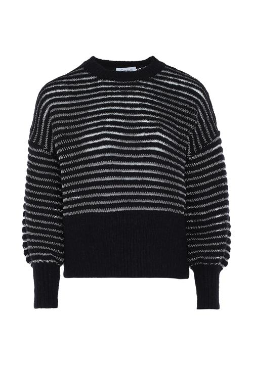 caneva Pullover  sort / sølv / hvid