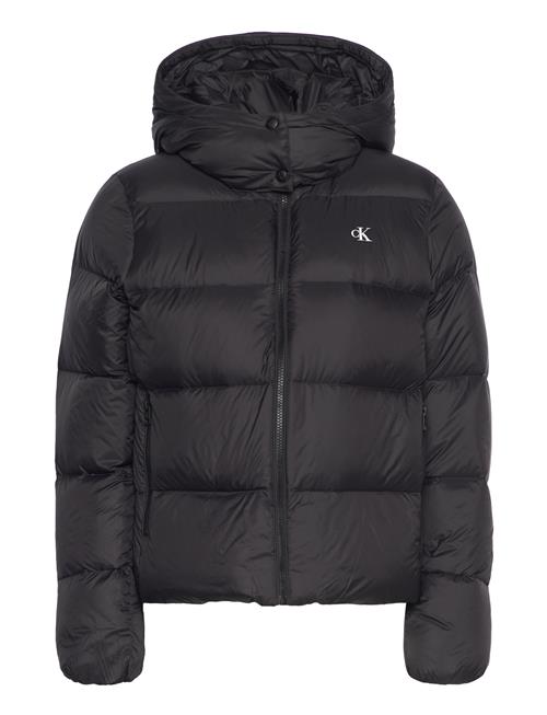Calvin Klein Jeans | Mw Down Short Puffer | L