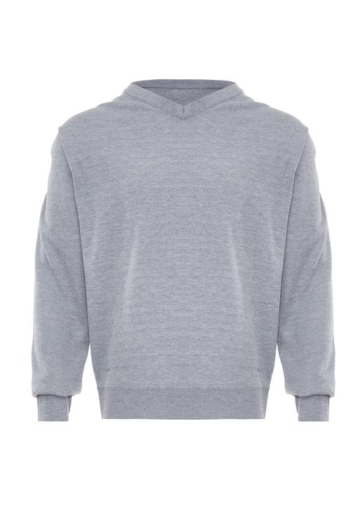 rovic Pullover  lysegrå
