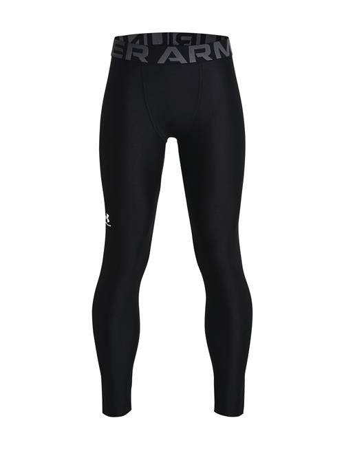 Under Armour | Ua Hg Armour Leggings | L
