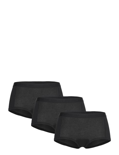 Björn Borg | Everyday Cotton Boxer Shorts 3P | XL