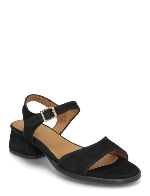 ANGULUS | Sandals - Block Heels | 41