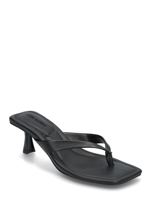 Steve Madden | Heyley Heeled Sandals | 41
