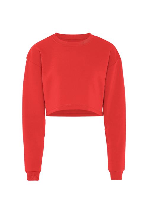 NALLY Sweatshirt  rød