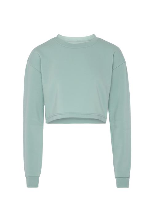 SANIKA Sweatshirt  pastelgrøn