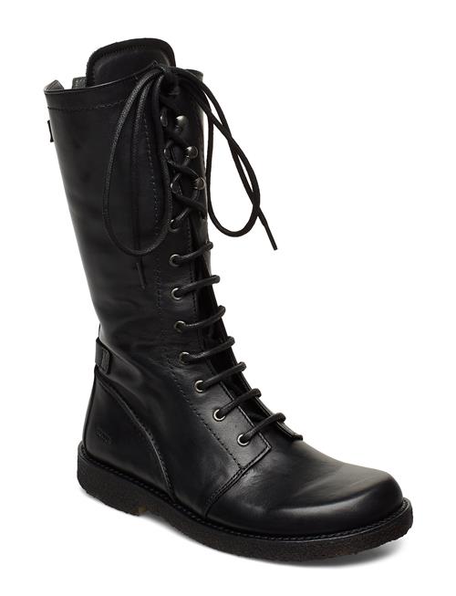 ANGULUS | Boots - Flat - With Laces | 39.5