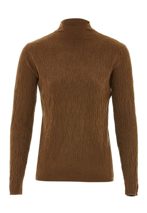 SANIKA Pullover  brun