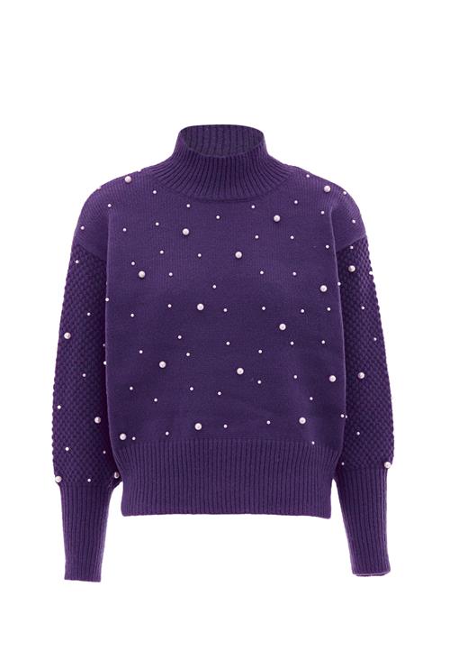 Se nascita Pullover  purpur ved About You