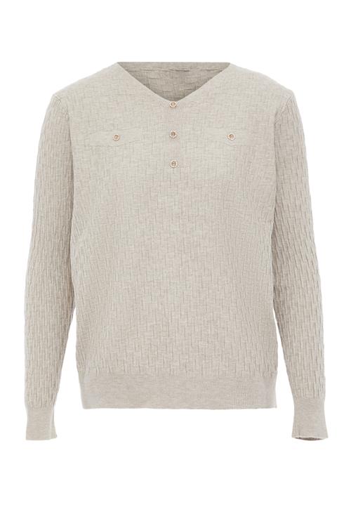 caneva Pullover  beige