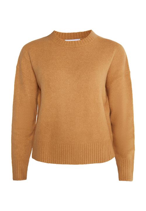 usha WHITE LABEL Pullover  camel