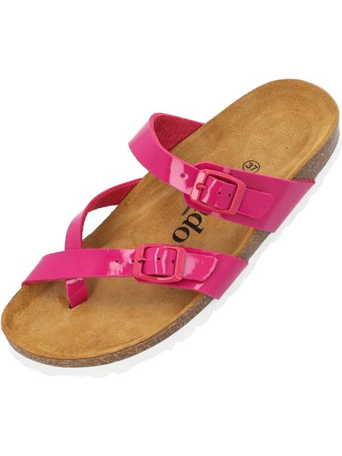 Palado Klipklappere 'Cres'  pitaya