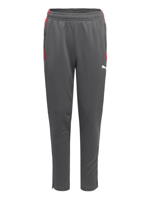 PUMA | Individualliga Training Pants Jr | 176