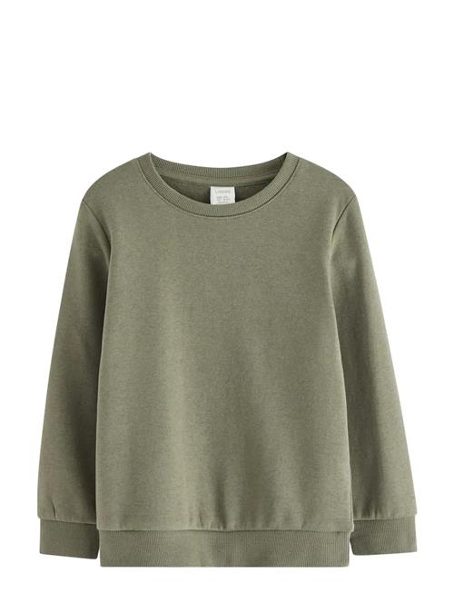 Lindex | Sweatshirts Solid Basic | 98