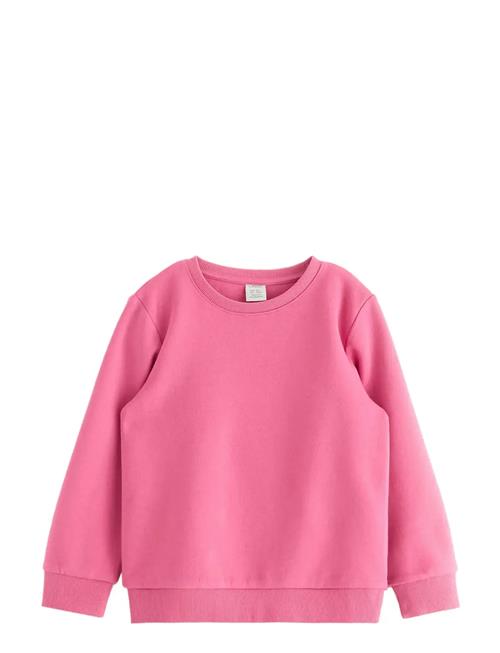 Lindex | Sweatshirts Solid Basic | 98