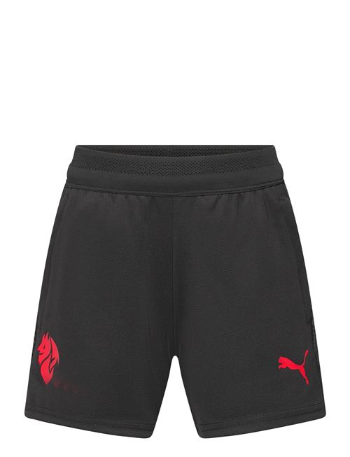PUMA | Acm Training Shorts W/Pocket Jr | 176