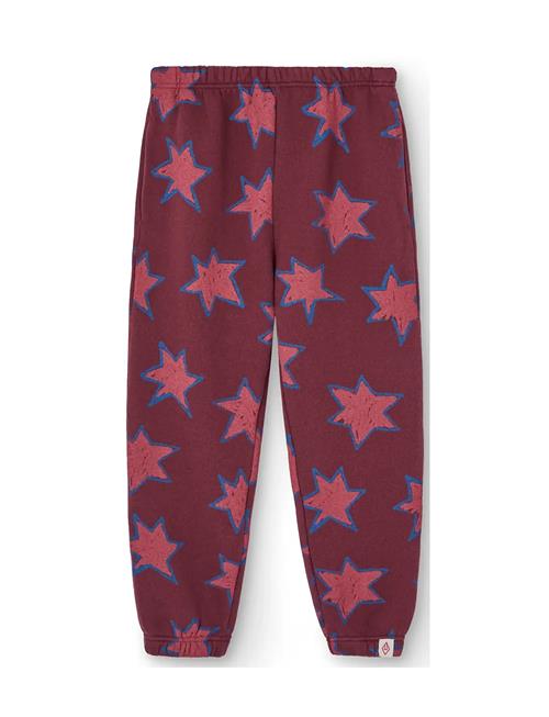 THE ANIMALS OBSERVATORY | Stars Dromedary Sweatpants | 8 Y