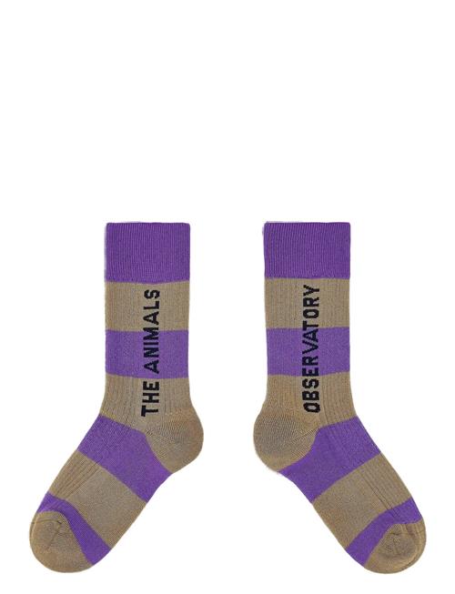 THE ANIMALS OBSERVATORY | Purple Worm Socks | 23/26