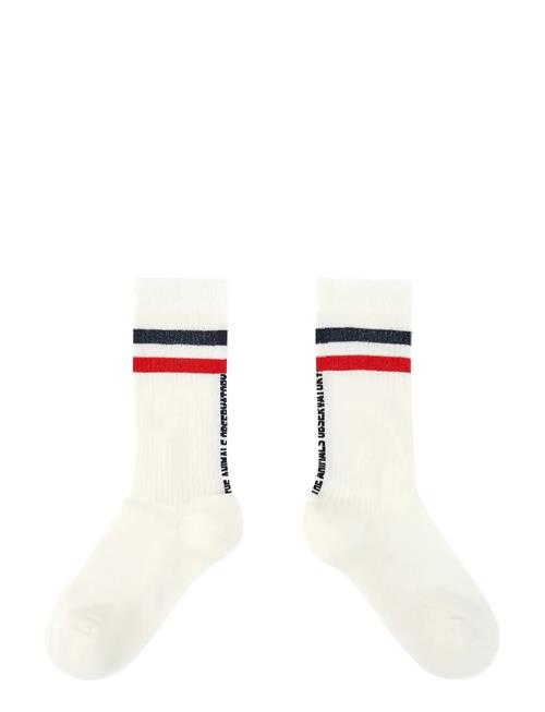 THE ANIMALS OBSERVATORY | White Skunk Socks | 35/38