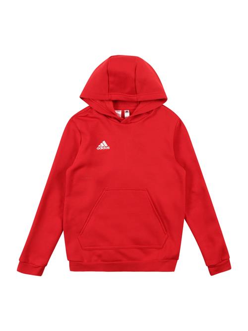 ADIDAS PERFORMANCE Sportsweatshirt 'Entrada 22'  rød / hvid