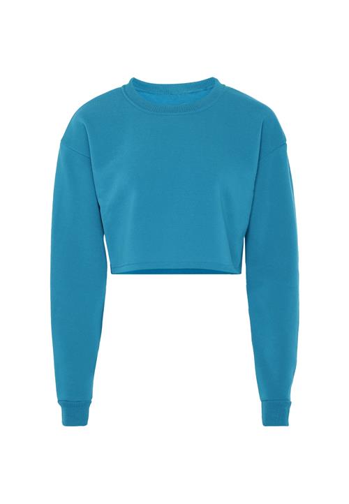 Flyweight Sweatshirt  blå