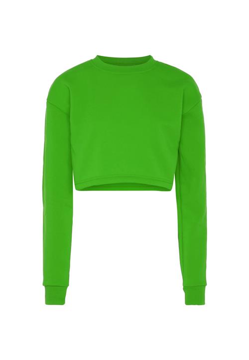 Flyweight Sweatshirt  æble