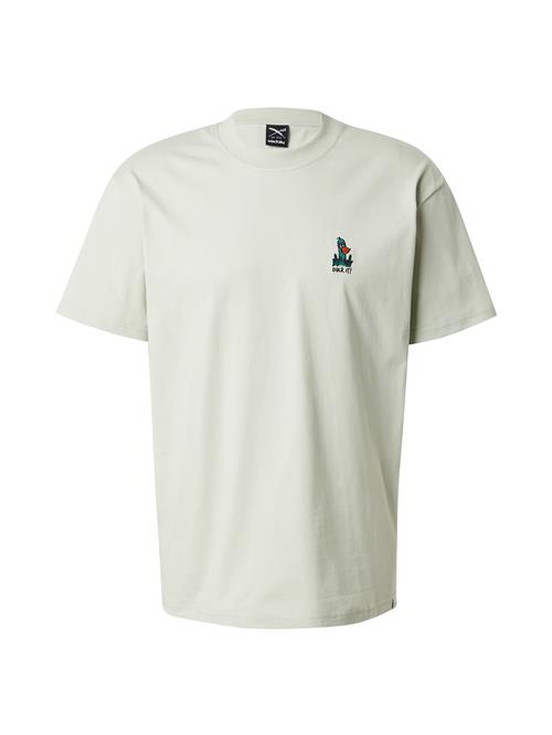 Iriedaily Bluser & t-shirts 'What The Duck'  turkis / antracit / pastelgrøn / hvid