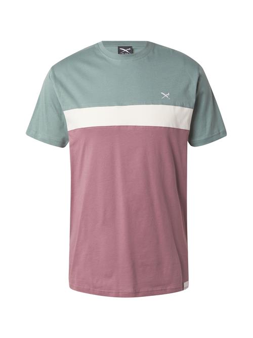 Iriedaily Bluser & t-shirts 'Court'  jade / lysviolet / hvid / offwhite