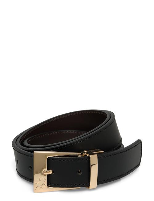 Lois Jeans | Ember Gold | 80