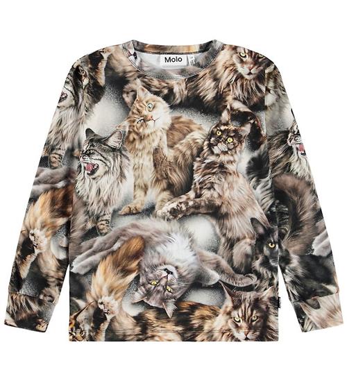 Molo T-shirt - Rill - Cattitudes