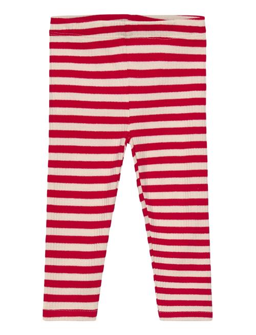 The New | Tnsbfro Rib Leggings | 80