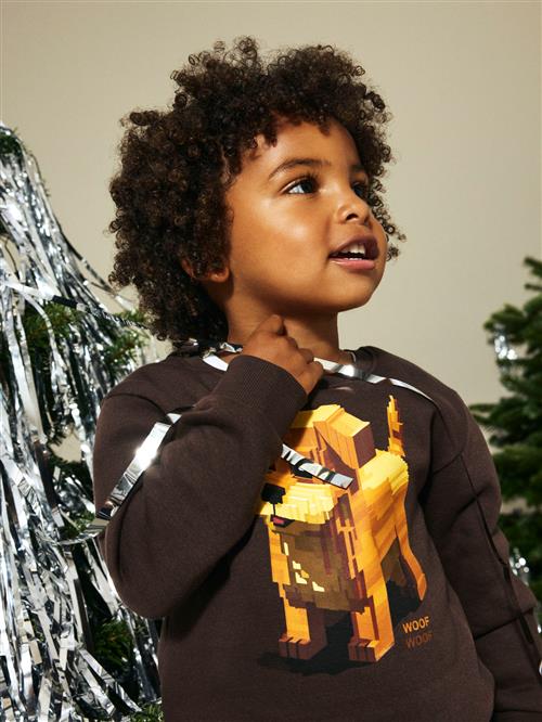 NAME IT Sweatshirt Sigurt Seal Brown