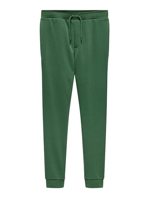 ONLY & SONS Sweatpants Tom Myrtle Ordinary