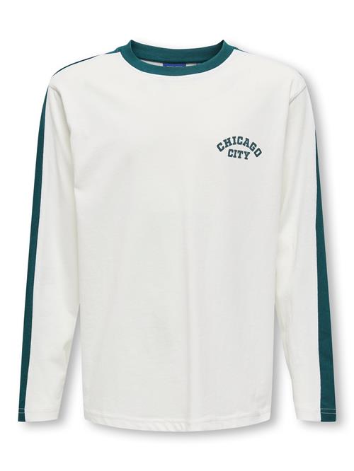 ONLY & SONS Sports Tee Nicky Cloud Dancer Lassi Chicago