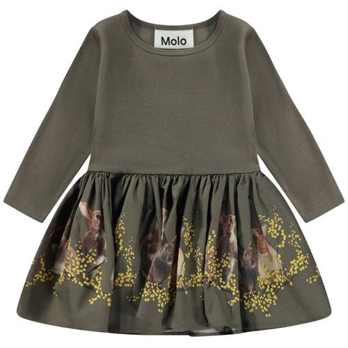 Molo GOTS Candi Kjole Mimosa Bunnies 68 cm  Grøn  68 cm  kvinde