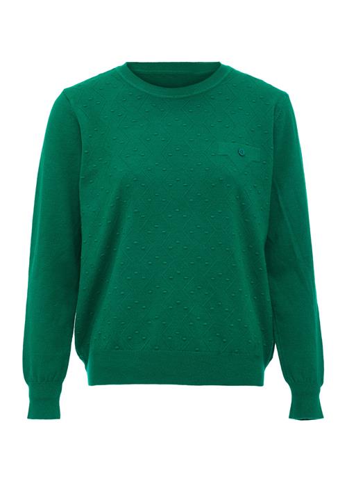 LUREA Pullover  grøn