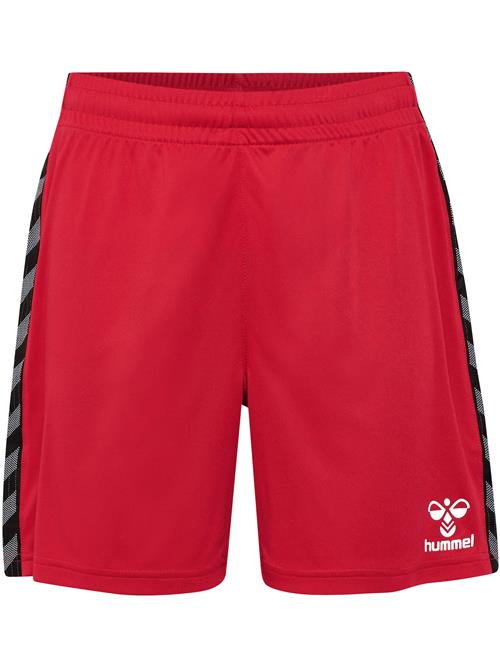Hummel Sportsbukser 'Authentic PL'  mørkegrå / rød / sort / hvid