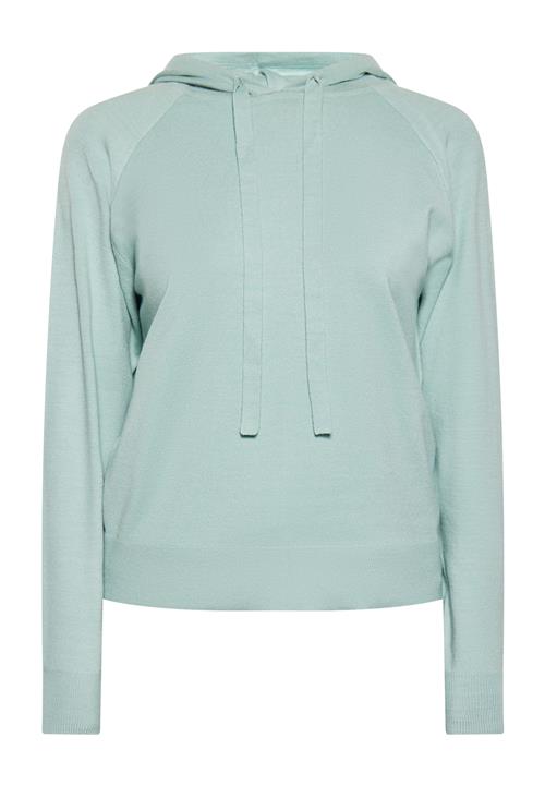 usha BLUE LABEL Pullover  mint