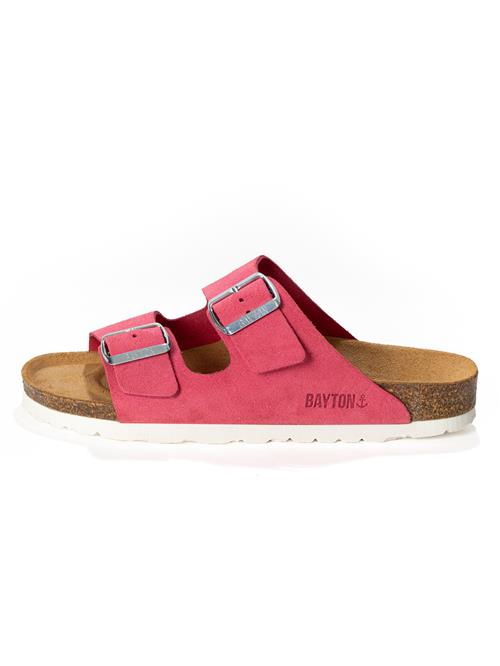 Bayton Pantoletter 'Atlas'  pitaya