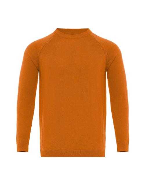Antioch Pullover  orange