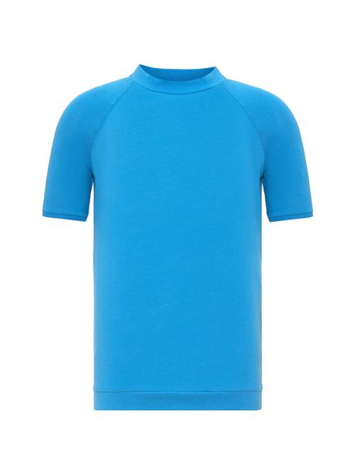 Antioch Bluser & t-shirts 'Basic'  blå / lyseblå