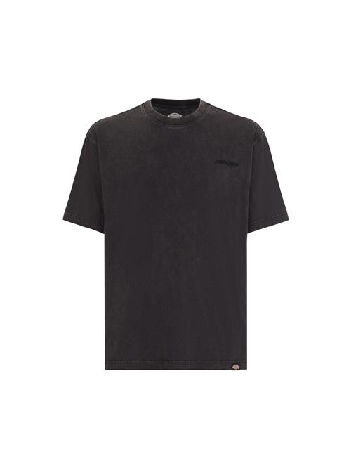 DICKIES Bluser & t-shirts 'Plentywood'  sort-meleret