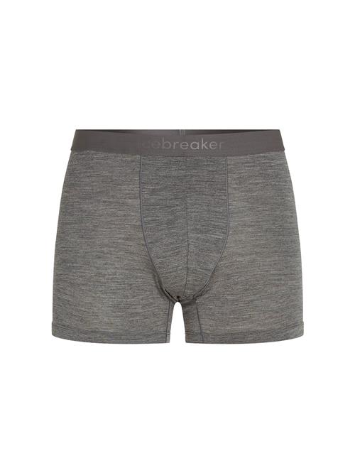 ICEBREAKER Sportsunderbukser '125 Anatomica'  grå