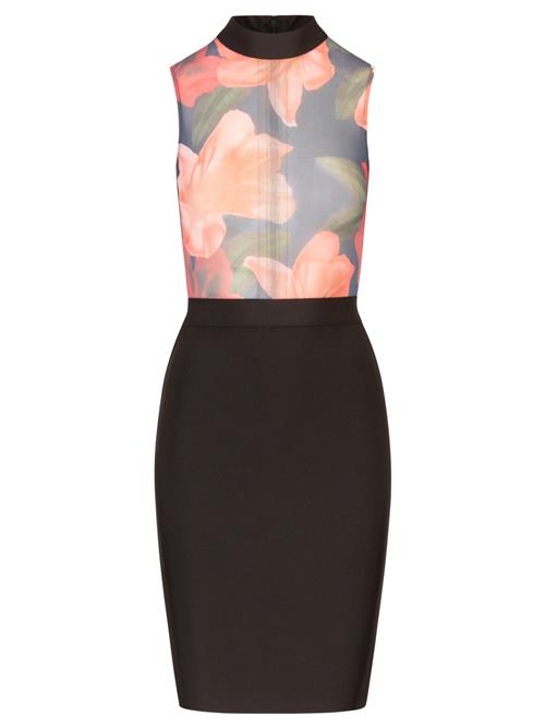 Kraimod Etuikjole  orange / sort