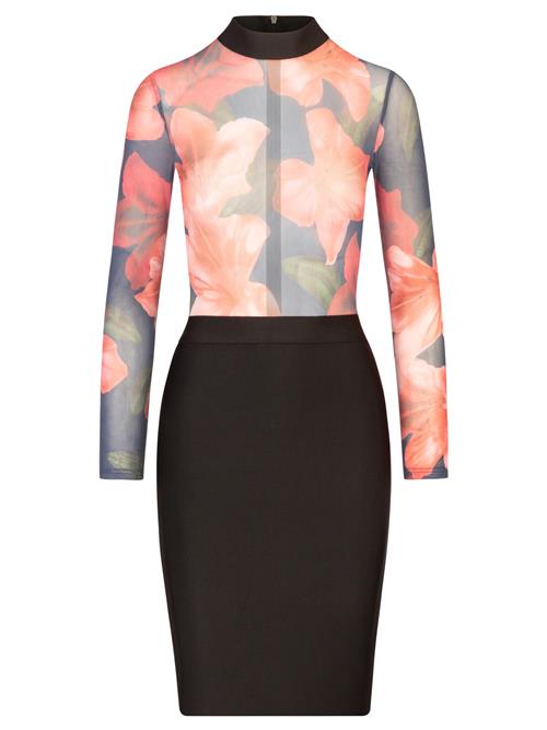 Kraimod Etuikjole  rød / sort