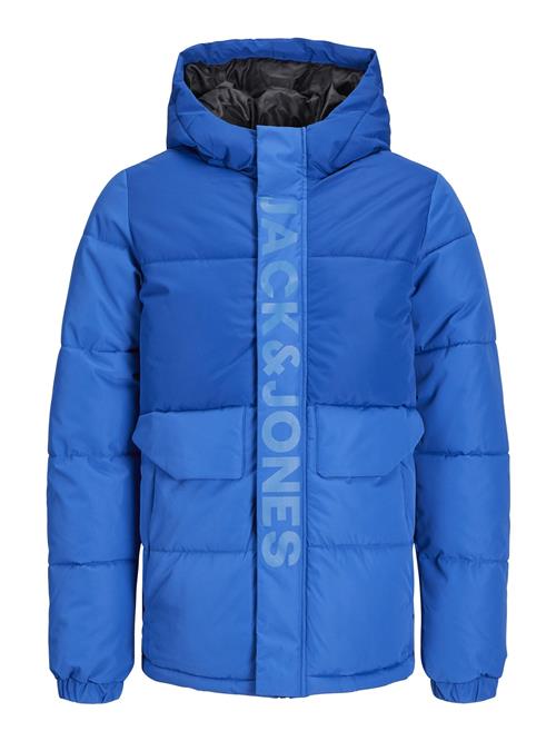 Jack & Jones Junior Vinterjakke 'Speed'  koboltblåt / royalblå / lyseblå