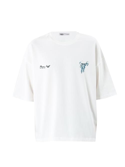 VAMOS CLO Bluser & t-shirts  himmelblå / mørkeblå